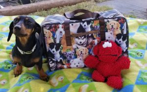 Travel Light Duffel Bag made by Sew Honey Bea