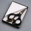 Guggenhein 'Little Giant' Precision ii Scissors in a box