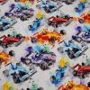 Race Cars - Canvas