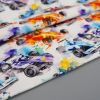 Race Cars - Canvas