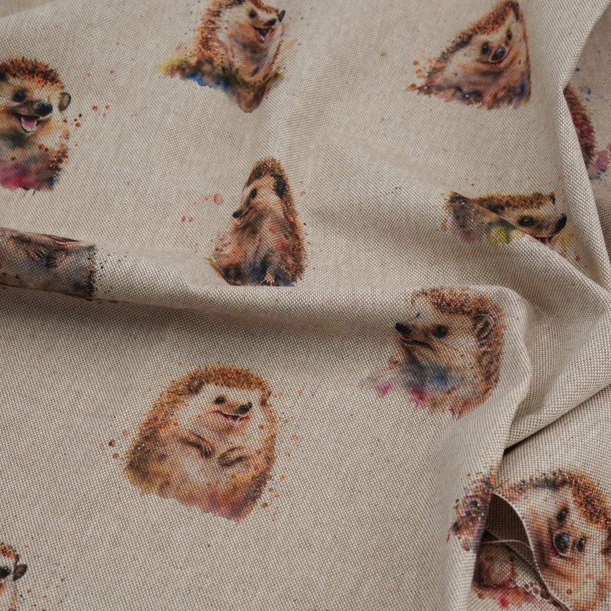 Canvas with cute hedgehog print