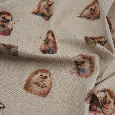 Canvas with cute hedgehog print