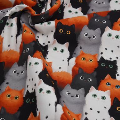 PRE-ORDER Curious Cats